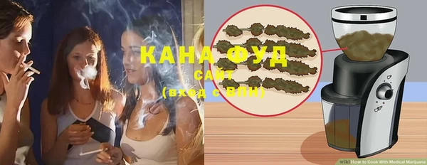 хмурый Гусев