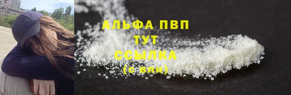 гидропоника Гусиноозёрск