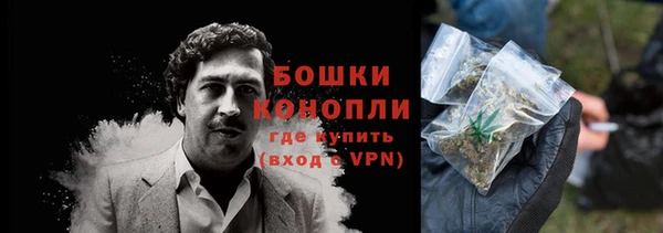 гидропоника Гусиноозёрск