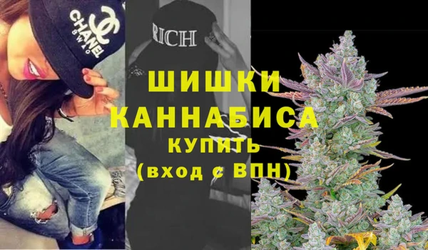 гидропоника Гусиноозёрск
