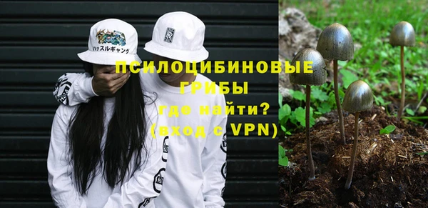 хмурый Гусев