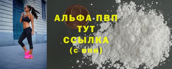 хмурый Гусев