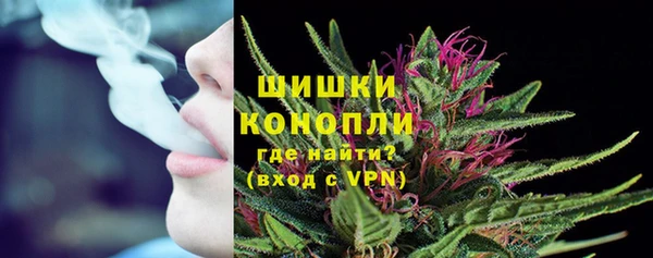 соль ск Гусь-Хрустальный