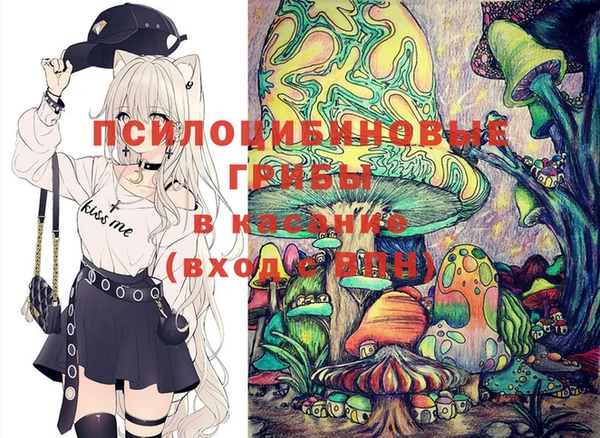 гидропоника Гусиноозёрск